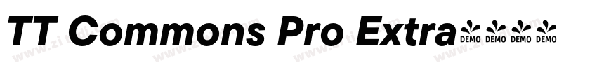 TT Commons Pro Extra字体转换
